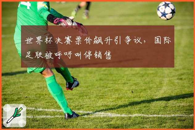 世界杯决赛票价飙升引争议，国际足联被呼吁叫停销售
