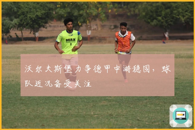 沃尔夫斯堡力争德甲中游稳固，球队近况备受关注