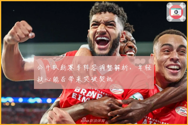 公牛队新赛季阵容调整解析，年轻核心能否带来突破契机