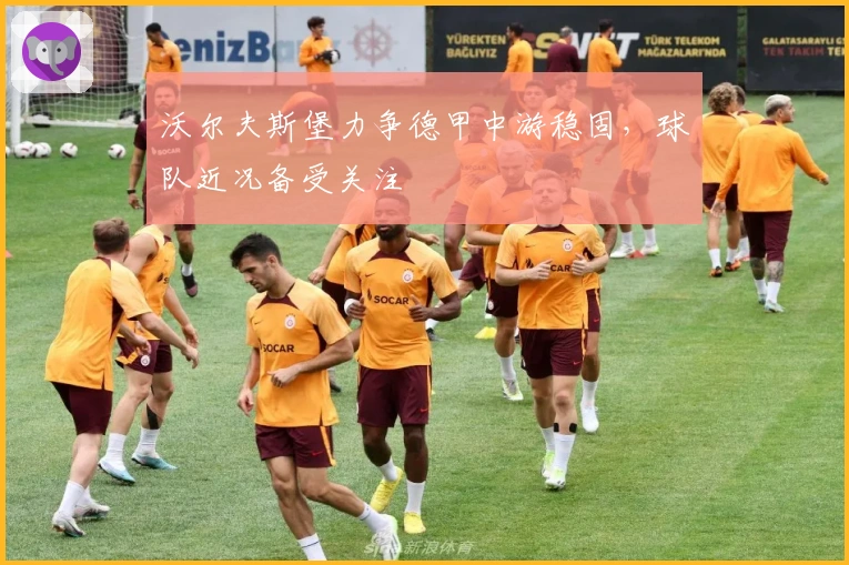 沃尔夫斯堡力争德甲中游稳固，球队近况备受关注