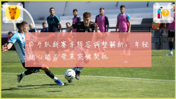 公牛队新赛季阵容调整解析,年轻核心能否带来突破契机